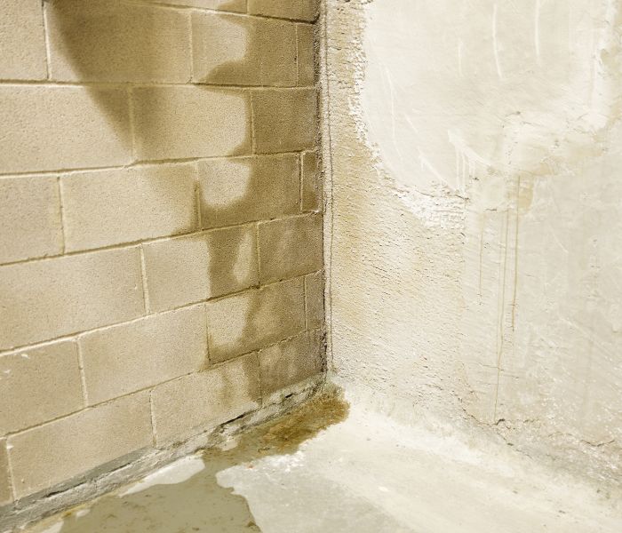 foundation leak repair needed for goshen home